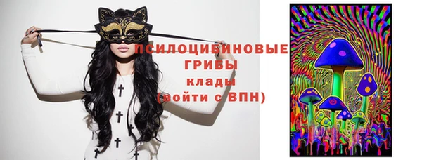 хмурый Алзамай
