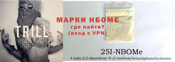 хмурый Алзамай
