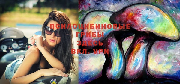прущий лед Алексеевка