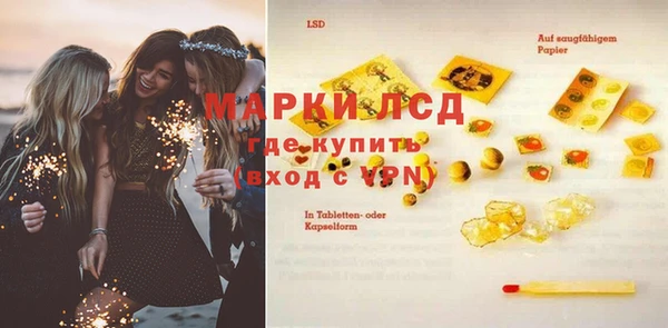 хмурый Алзамай